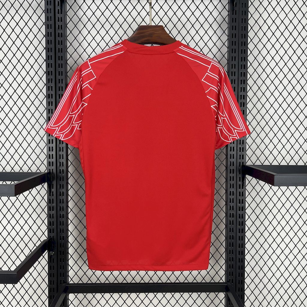 Camiseta Especial del PSG 24/25
