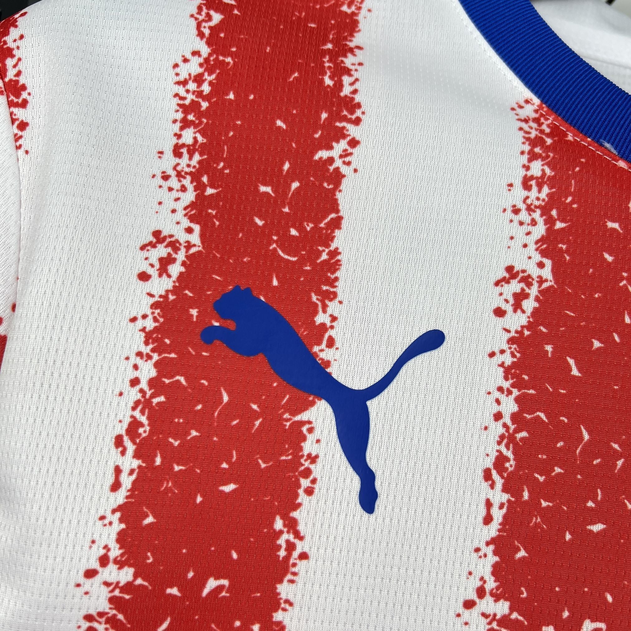 Paraguai Camisola Principal 2026